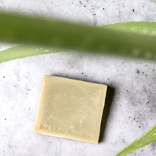 Artisan aloe vera soap bar on kitchen counter with aloe vera plant framing the soap