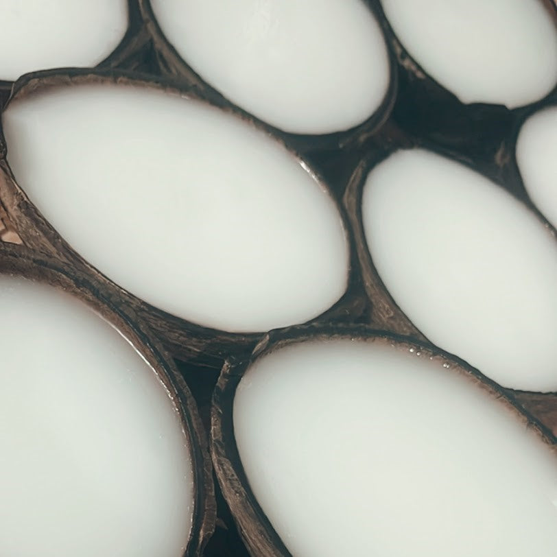 handmade dish soap in coconut shells
